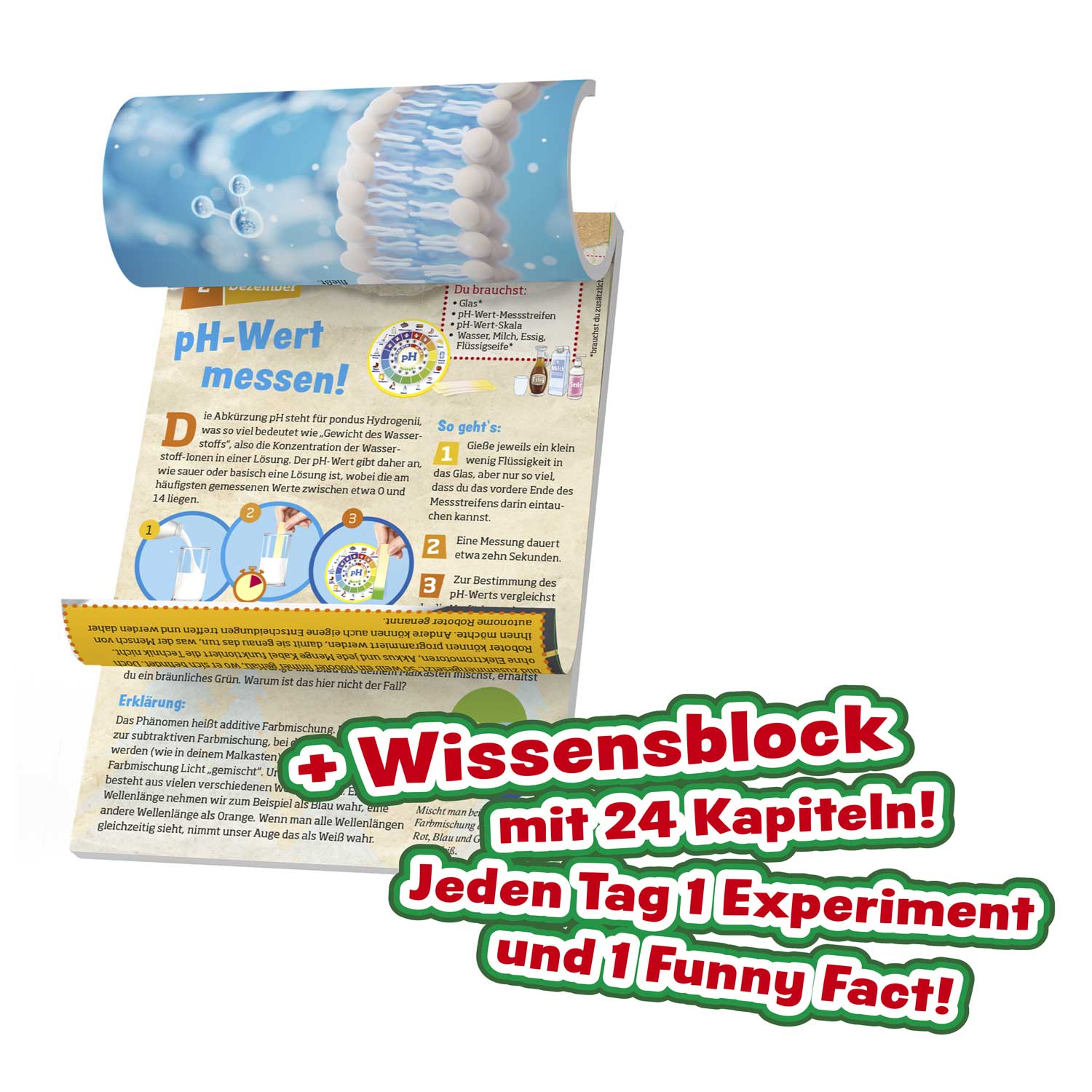 ADVENT CALENDAR - What's what?