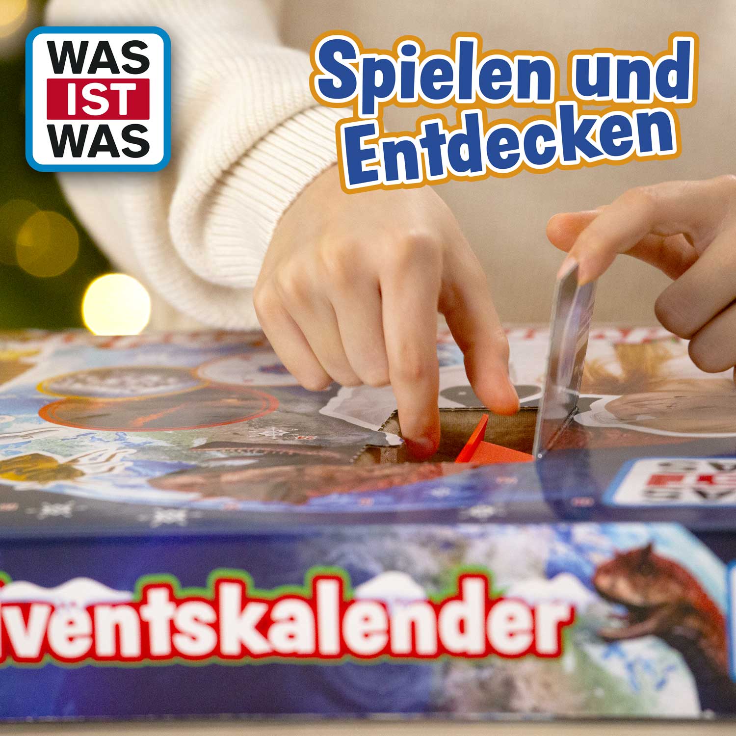 ADVENT CALENDAR - What's what?